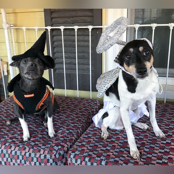 NIFTY 50’s!☀️POSHIVERSE SHOP&SHARE SIGNUP @sgoode001‼️ALSO PLZ MOVE 2 50’s #29❣️ - Picture 13 of 16